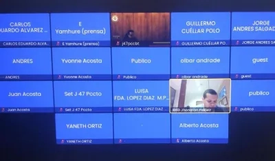 Imagen de la audiencia virtual.