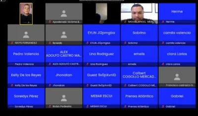 Imagen de la audiencia virtual.