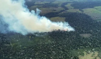 La Amazonía colombiana ha sido víctima de incendios criminales. 