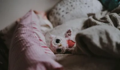 Hay una persona detenida por el hecho.