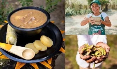 Imágenes referenciales.