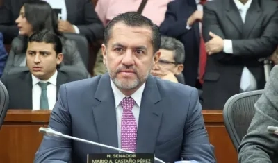 Senador Mario Alberto Castaño.