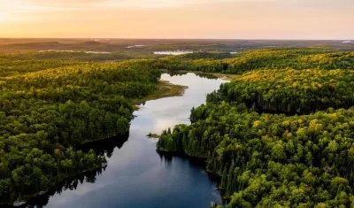 Imagen de referencia.