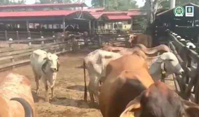 Una de las fincas ocupadas por la Fiscalía y la Policía.