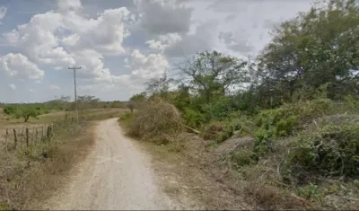 Una trocha en el municipio de Sabanalarga. 