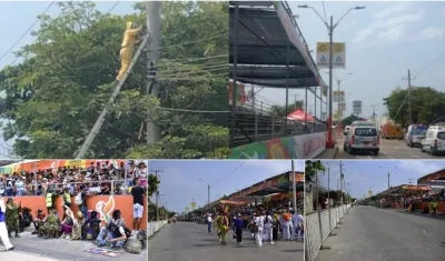 Bomberos controlan las abejas, que frenaron la Gran Parada de la Vía 40.