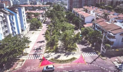 La siembra de árboles también incluye los bulevares.
