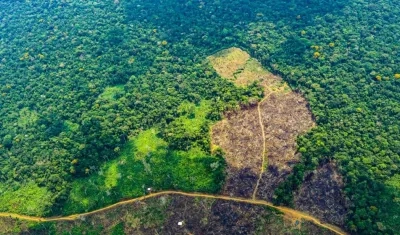 Amazonía colombiana, un área deforestada.