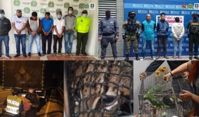 Parte de los capturados y de los animales.