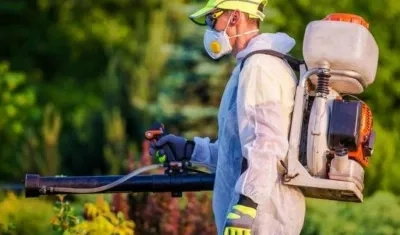 Imagen de referencia.