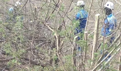 Técnicos de Air-e trabajan en el área rural de Piojó para restaurar el servicio. 