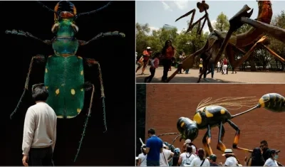 Visitantes observan la muestra expuesta en el marco del Festival Insecta que se celebra en el Bosque de Chapultepec, en Ciudad de México.