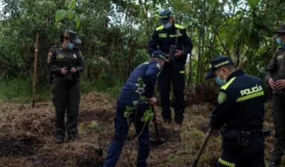 A la fecha se ha reportado la siembra de 118.862.770 árboles, en todos los departamentos del país.