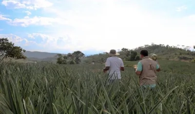 La URT podrá adelantar procesos de conservación, actualización y difusión de la información catastral a nivel nacional, iniciando con 11.235 predios en 302 municipios.