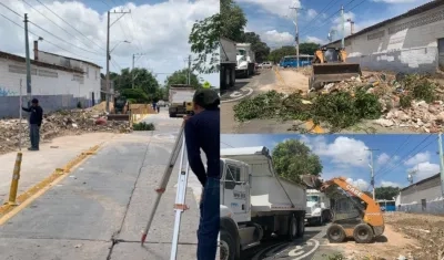 Imágenes de la jornada de limpieza.