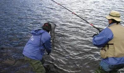 La prohibición de pesca deportiva empezará a regir en un año.