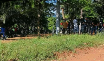 Cultivadores de coca obstruyeron labor del Ejército.