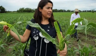 La directora de Agro-Bio en la región Andina, María Uscátegui.