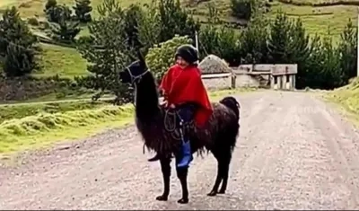 Jhoel montado sobre 'Benjamín'.  