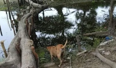 Lugar donde fue encontrada la niña.