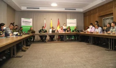 Consejo Departamental y Distrital.