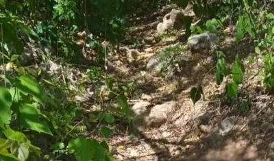 Zona donde fue encontrado el cuerpo del hombre. 