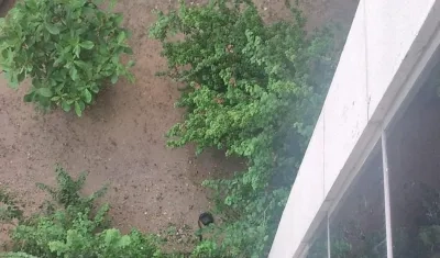 El cuerpo del hombre quedó tendido en este lugar del Centro Cívico. 