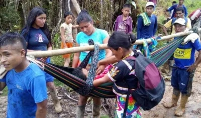 Docente indígena mordida por una serpiente.