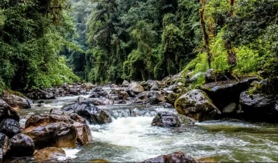 Las acciones de mitigación y adaptación serán realizadas por diferentes entidades.