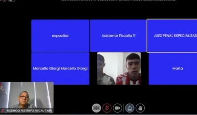 Imagen de la audiencia virtual.