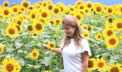 La Gobernadora Elsa Noguera en uno de los campos amarillos.