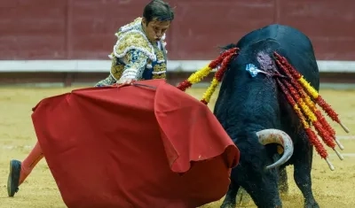 Imagen de referencia.