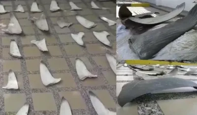 Algunas de las 450 aletas