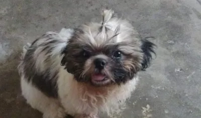 A ‘Lukas’ lo esperan en su casa de Baranoa.