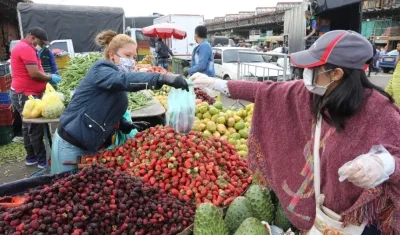 Imagen de referencia.