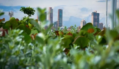 La ciudad de Barranquilla incluida dentro de las políticas del cambio climático en el país.