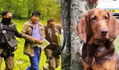 El capo Rafael Caro Quintero en el lugar de su captura, en la que ayudó el perro 'Max'.