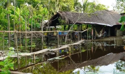 Así permanecen entre las aguas desbordadas de los rios los habitantes de La Mojana.