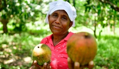 'Festival del Mango' en Los Pendales