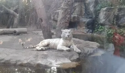 Zoológico de Barranquilla. Imagen de referencia.