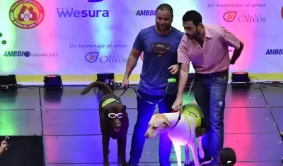 Feria ‘Petlovers’.