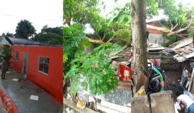 Estado en que quedaron las viviendas.