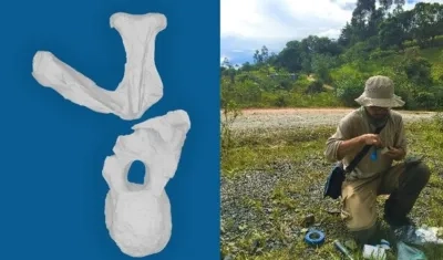 Perijasaurus lapaz