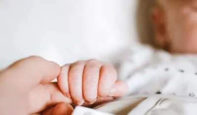 Imagen de referencia.