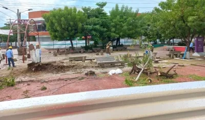 Tala de árboles en la plaza principal de Sabanalarga.