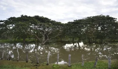 Las zonas aledañas al Canal del Dique están inundadas.