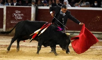 Imagen de referencia.