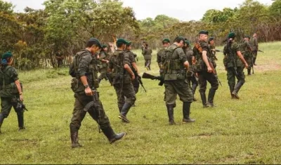 Imagen de referencia.