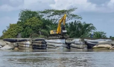 'Cara de gato', imagen de referencia.