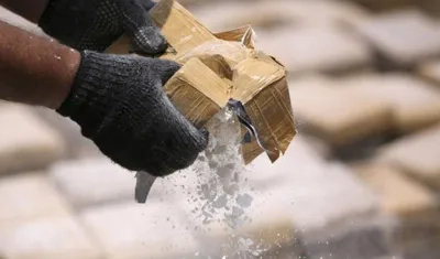 Imagen de referencia.